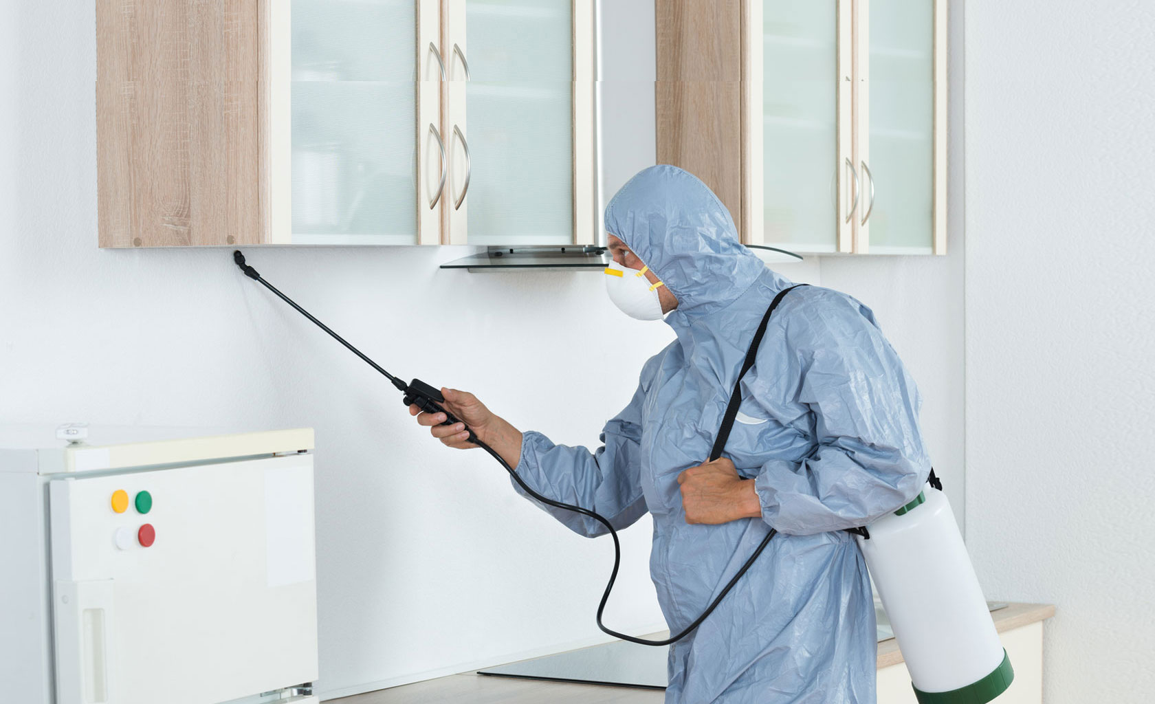 Why You Must Hire the Professional Pest Control Service?